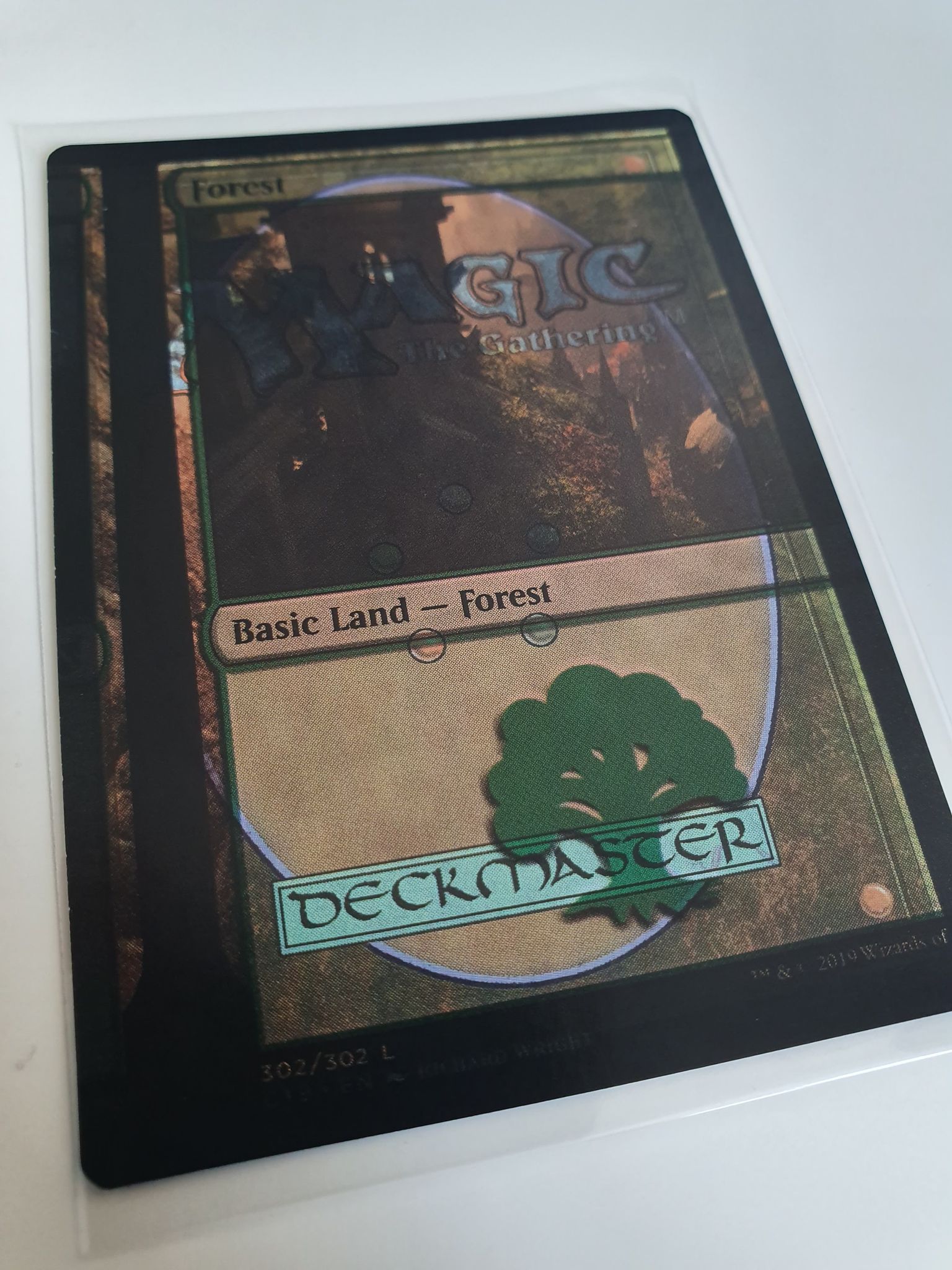 A double-printed copy of Forest, with a Command Tower on its back face. From an entire double-printed Mystic Intellect Commander deck. Photo credit: Emiel van Daele