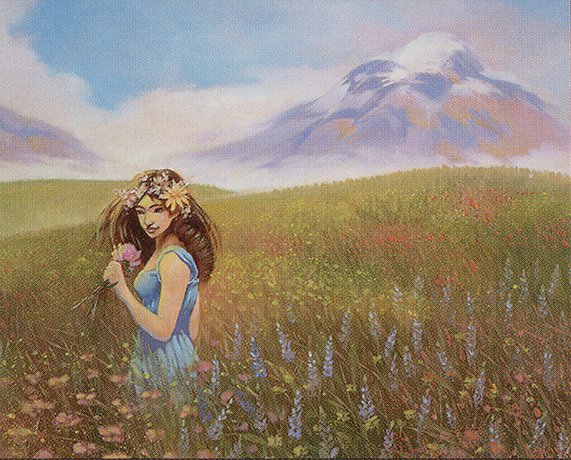 Olivia Gobert-Hicks, Brian Kibler Go On Land-Trading Spree on Cardsphere