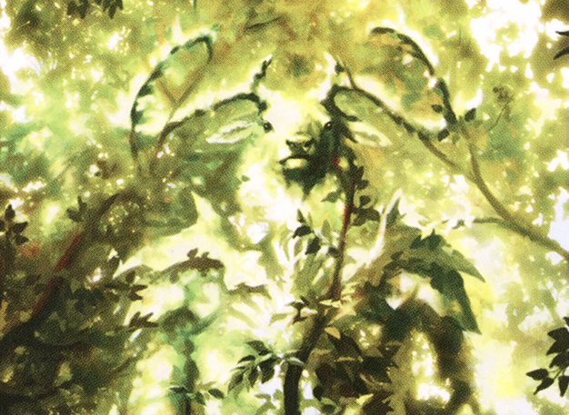 Sphere of Influence: January 23, 2026